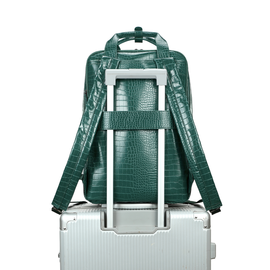 The BioVerve Convertible Backpack